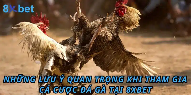 Đá gà Cựa Dao 8xbet: Luật chơi, kinh nghiệm và cách thắng lớn 6 Những lưu ý quan trọng khi tham gia cá cược Đá Gà tại 8XBET
